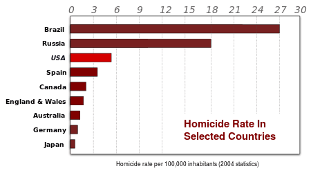 Homicide rate per country