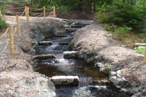 A series of weir dams on Blackman Stream, Maine. Mine would be about as tall, but somewhat further apart.