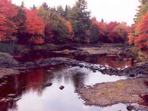Gravity dam along the red cedar river. It adds retention and stops floods.