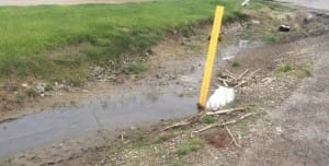 Classic ditch drain, Bloomfiled MI. Notice the culverts used to convey water from the ditch under the road.