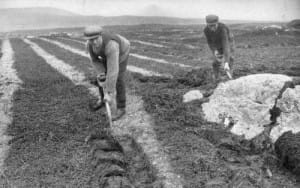 Lazy beds (feannagan) use only half the soil are for planting. The English experts were sure this was inefficient and land-wasting. Plowing was imposed on Ireland, and famine followed