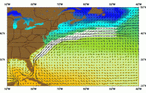 The gulf stream. The speed in the white area is ≥ 0.5 m/s (1.1 mph.).